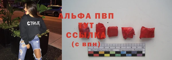 твердый Краснослободск