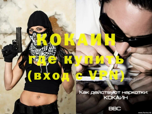 твердый Краснослободск