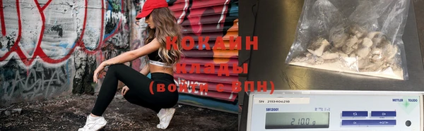 твердый Краснослободск